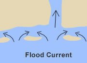 Flood Current