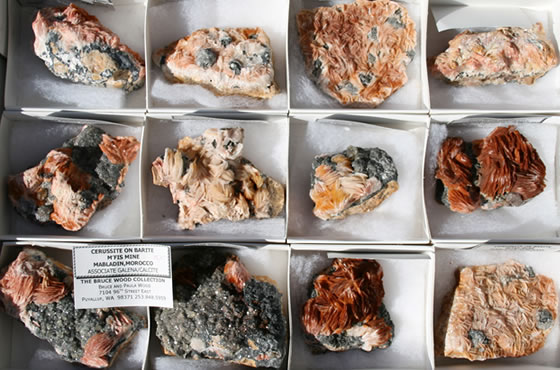 minerals