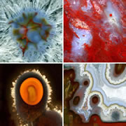 Agate photos