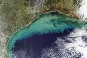 Gulf coast sediments