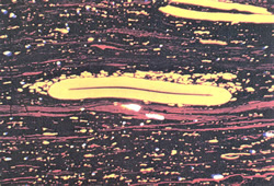 Coal through a microscope