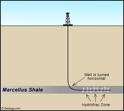 Marcellus Shale