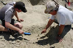 Largest marine bone deposit