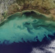 Gulf coast sediments