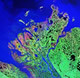 Arctic delta satellite image