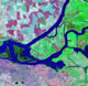 California delta subsidence