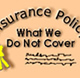 homeowners policy