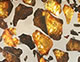 Types of Meteorites