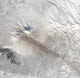 Shiveluch Volcano