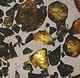Esquel, a stony-iron meteorite