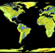 topographic map of the world