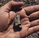 Asilisaurus kongwe