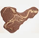 New Raptor Species