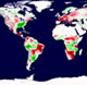 plant productivity map