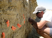 San Andreas Fault behavior