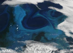 Southern Ocean carbon release