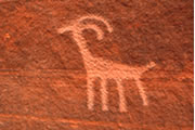 petroglyphs