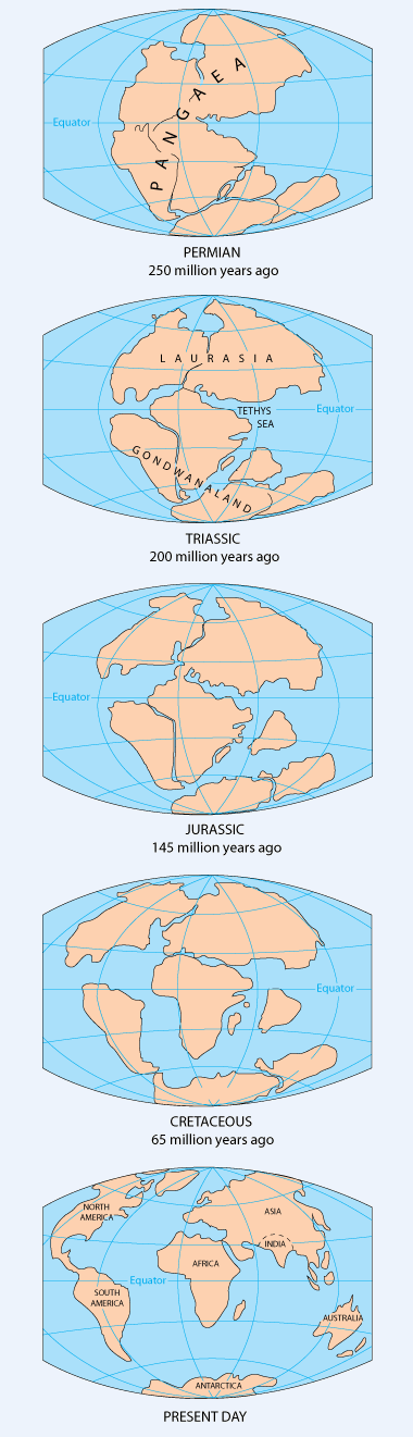 graphic of the movement of the continents from Pangea to the present day