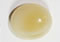 Common opal