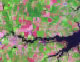 Delaware Satellite Image