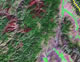 Idaho Satellite Image