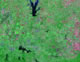 Illinois Satellite Image