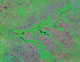 Indiana Satellite Image