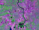 Indianapolis Satellite Image