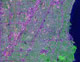 Boston Satellite Image