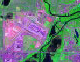 Minneapolis Satellite Image
