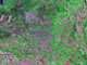 Fayetteville Satellite Image