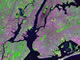 New York City Satellite Image