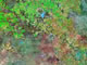Texas Satellite Image