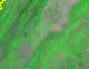 Virginia Satellite Image