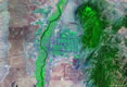 new mexico satellite map