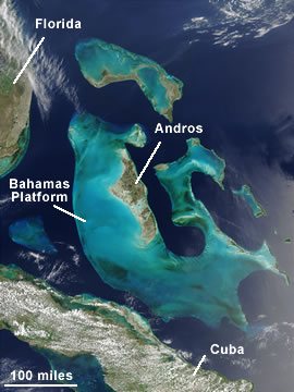 The Bahamas Platform, a limestone-forming environment.