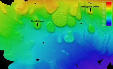 salt domes on the floor of the Gulf of Mexico