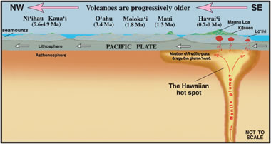 Hawaiian Hot Spot