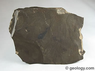 Shale Images