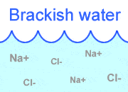 Brackish water