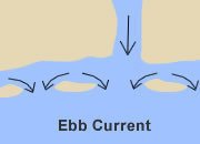 Ebb Current