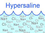 Hypersaline