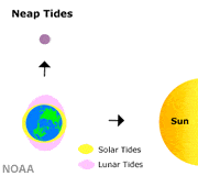 Neap tide