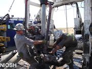 Roughneck