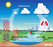 Water Cycle