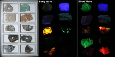 Fluorescent Mineral Collection