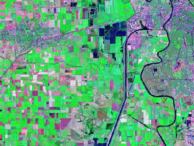 landsat image