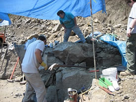 lifting the top off of a cavity