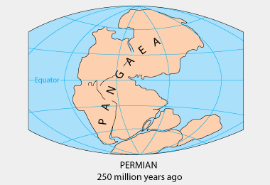 Permian continental drift
