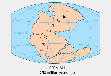 pangea pangaea continent geology supercontinent permian panthalassa broke tectonic barnorama